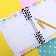Imagem do Planner Colors 2025 Permanente