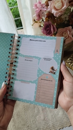 Planner 2025 Vintage Permanente (não datado) - loja online