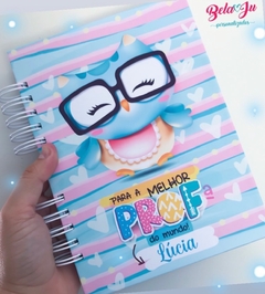 Imagem do Caderno da Professora