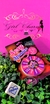 Roleta Sexy Spinner