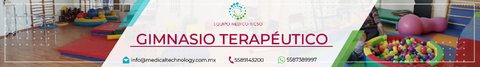 Banner de la categoría GIMNASIO TERAPÉUTICO