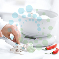 seca basculas medicas