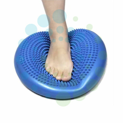 disco vestibular