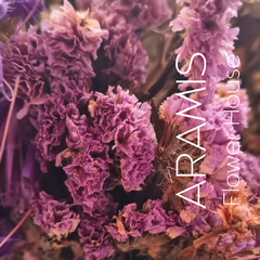 Limonium lila COD A37