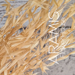 Avena Natural COD. A09