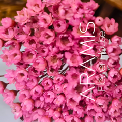 Diamantinas Rosadas COD. A21