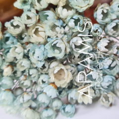 Diamantinas Celestes COD. A21