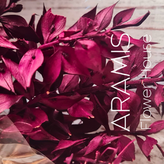 RUSCUS COD. A50 - comprar online