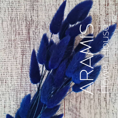 COLITA DE VISON COD. A17 - ARAMIS Flower House