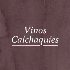 Banner de la categoría Vinos Calchaquíes