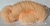 Cashmilon 4/7 semigrueso x 5 madejas 120 grs