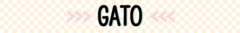 Banner da categoria Gato