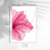 Flor rosa na internet