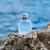 Light Blue Eau Intense Dolce & Gabbana Masculino Eau de Parfum 50ml na internet