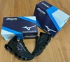 Mizuno Prophecy WK