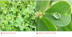 Apexel Phone Camera Macro Lente 12-24X Super Macro Lente para iPhone 11/12 Xiaomi Samsung Galaxy Universal 2 em 1 Clip Lente Móvel - comprar online