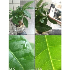 Apexel Phone Camera Macro Lente 12-24X Super Macro Lente para iPhone 11/12 Xiaomi Samsung Galaxy Universal 2 em 1 Clip Lente Móvel - comprar online