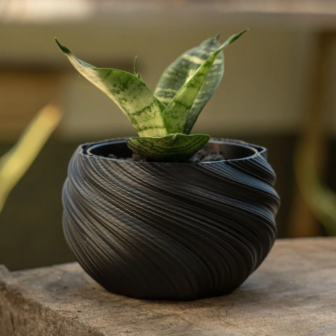 Vaso Cachepot Ondas + Planta Mini Espada de São Jorge | POUCAS UNIDADES - comprar online