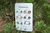 Kit de 7 Pares de Brincos Pet - Petshop & Cia