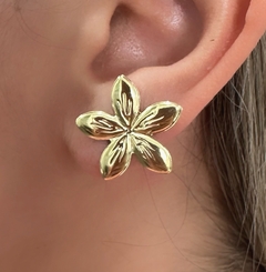 Imagem do Conjunto Flores banhado a ouro 18k