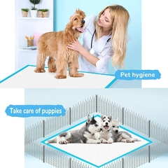 Fralda Super Absorvente para animais de estimação Almofadas de xixi para treinamento de cães Tapete de fraldas descartável saudável para gatos Fraldas para cães Tapete de superfície de secagem rápida na internet