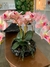 Arranjo de orquídea rosa