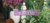 Banner rotativo 2
