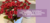 Banner rotativo 1