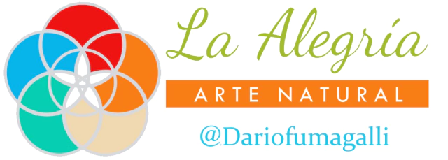 La Alegría Darío Fumagalli