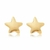 Brinco Estrelinha Folheado a Ouro 18k. (PROMOÇÃO-OUTLET)