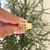 Anel Base com Letras Folheado a Ouro 18k.