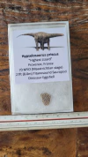 Hypselosaurus priscus