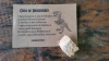 Osso de dinossauro