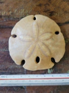 Millitella californiacus