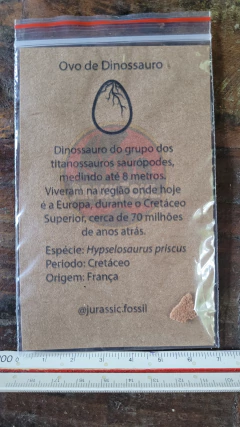 Hypselosaurus priscus