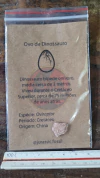 Oviraptor