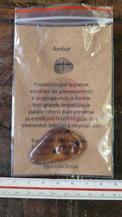 Âmbar birmanês com pena - Jurassic Fossil