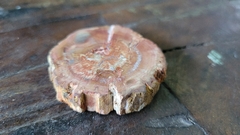 Madeira petrificada na internet