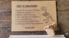 Osso de Dinossauro