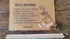 Osso de Dinossauro
