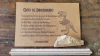 Osso de Dinossauro