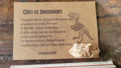Osso de Dinossauro