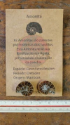 Cleoniceras besairei