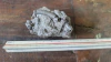 Crinoide