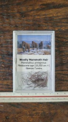 Mammuthus primigenius - comprar online