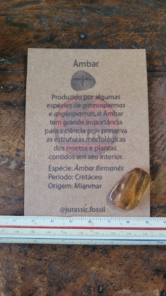 Âmbar birmanês com aranha na internet