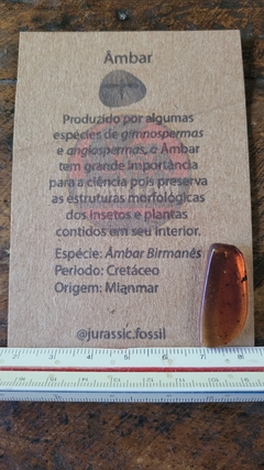 Âmbar birmanês com mosquitos na internet