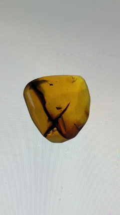 Âmbar birmanês com insetos - Jurassic Fossil