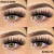 Pupilentes himalaya brown