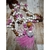 Kit 10 Japamalas Beth Russo 108 contas - Paz Interior Store